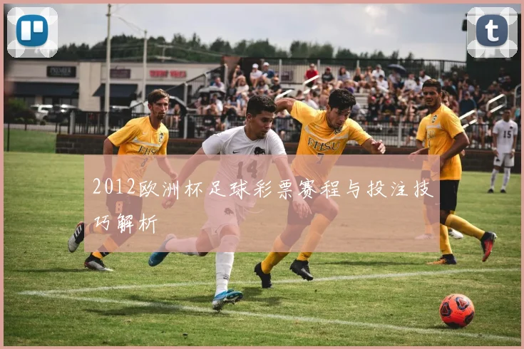 2012欧洲杯足球彩票赛程与投注技巧解析