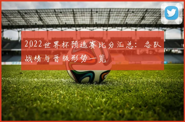 2022世界杯预选赛比分汇总：各队战绩与晋级形势一览