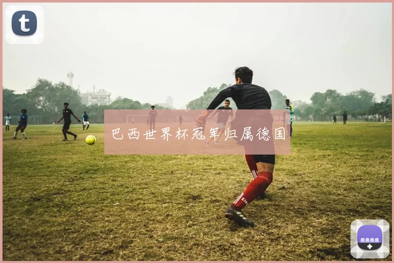 巴西世界杯冠军归属德国